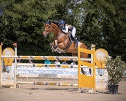 jumper Johnny Depp 5 (German Sport Horse, 2017, from Donnersberger)