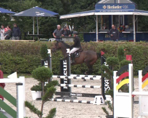 Reitturnier Vlotho-Exter 2024
