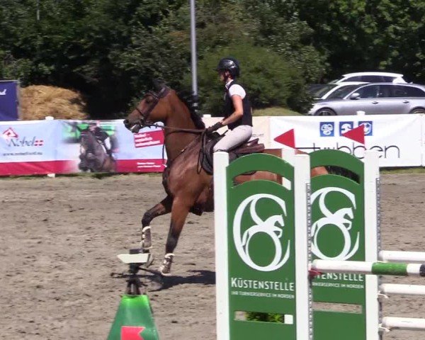 Reitturnier Mildstedt - Jumping Team Nord 2024