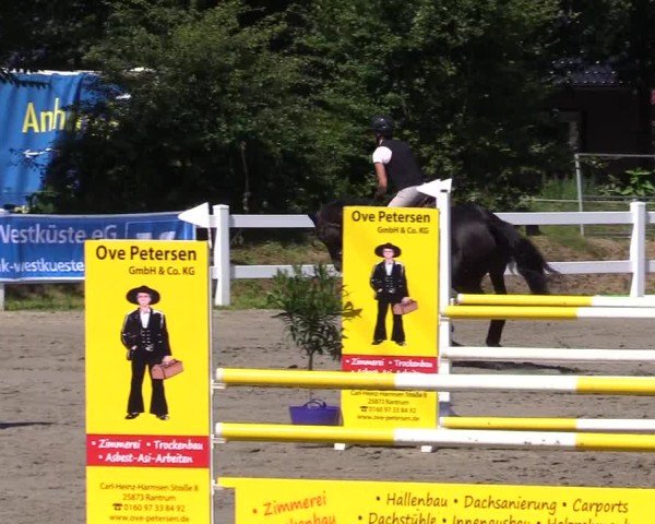Reitturnier Mildstedt - Jumping Team Nord 2024