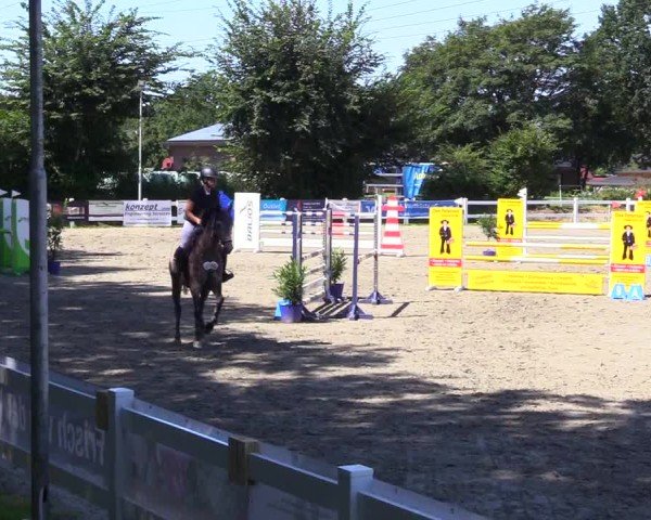 Reitturnier Mildstedt - Jumping Team Nord 2024