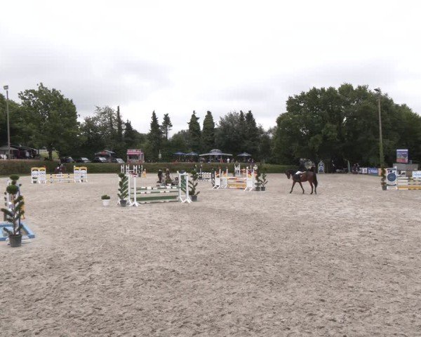 Reitturnier Vlotho-Exter 2024