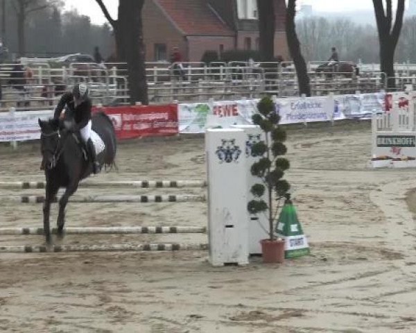 Lenklarer Reitertage auf der Reitsportanlage Gripshöver 2013