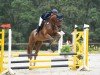 dressage horse Bentonit (German Sport Horse, 2020, from Bretton Woods)