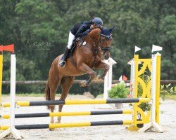 dressage horse Bentonit (German Sport Horse, 2020, from Bretton Woods)