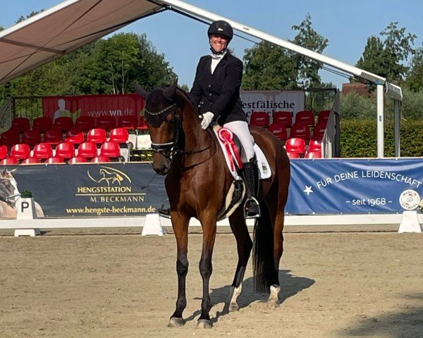 dressage horse Descana (KWPN (Royal Dutch Sporthorse), 2019, from Glock's Dream Boy)