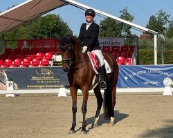 dressage horse Descana (KWPN (Royal Dutch Sporthorse), 2019, from Glock's Dream Boy)