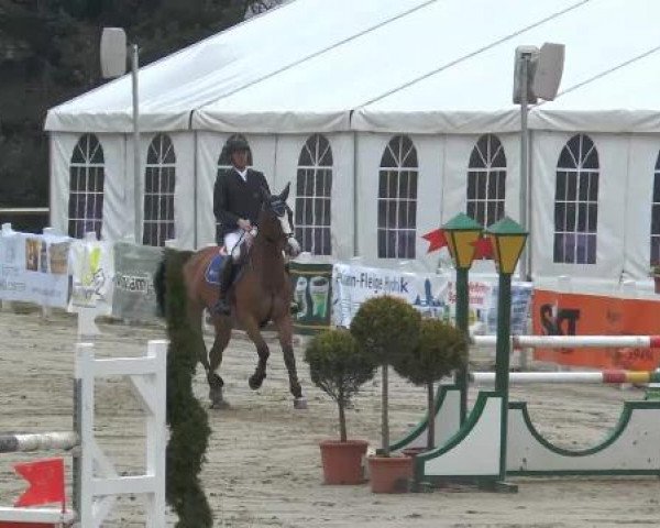 Lenklarer Reitertage auf der Reitsportanlage Gripshöver 2013