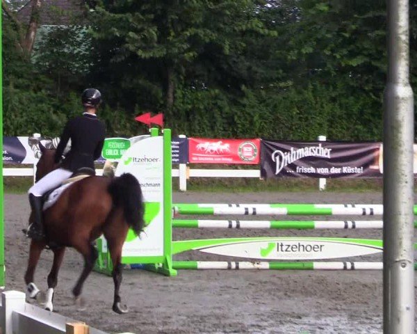 Reitturnier Mildstedt - Jumping Team Nord 2024