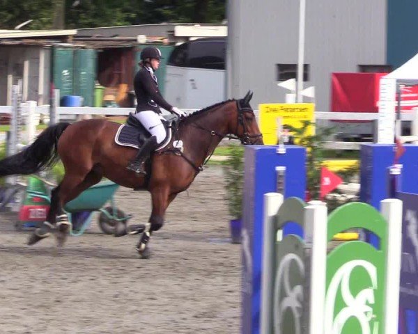 Reitturnier Mildstedt - Jumping Team Nord 2024