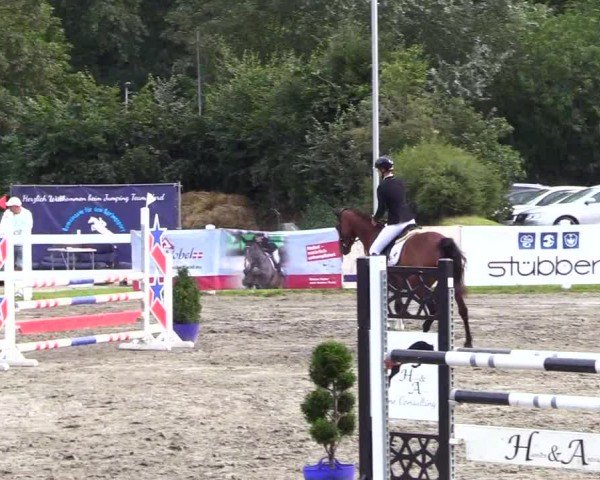 Reitturnier Mildstedt - Jumping Team Nord 2024