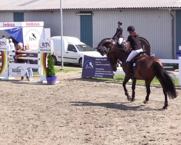 Reitturnier Mildstedt - Jumping Team Nord 2024