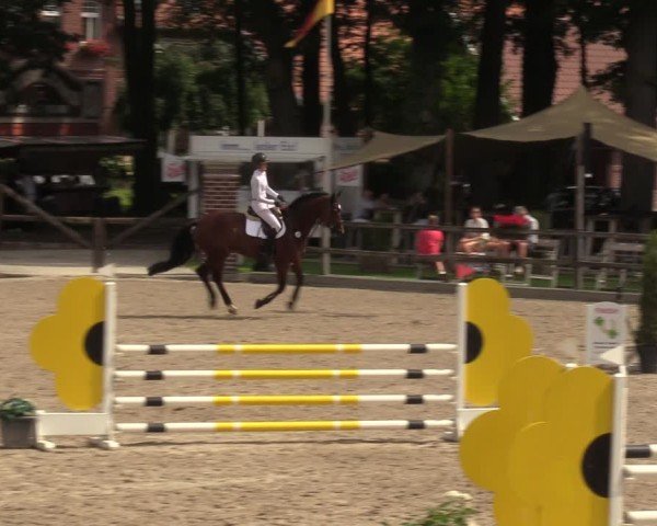 Reitturnier Klein Roscharden 2024