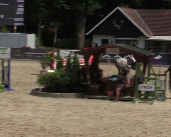 Reitturnier Klein Roscharden 2024