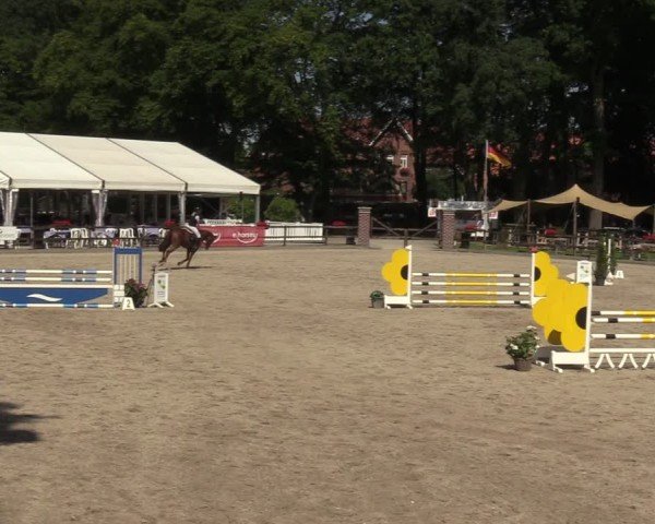 Reitturnier Klein Roscharden 2024