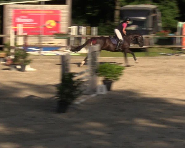 Reitturnier Klein Roscharden 2024