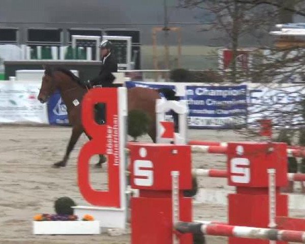Lenklarer Reitertage auf der Reitsportanlage Gripshöver 2013