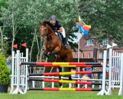 jumper Lindehojs Callio (Danish Warmblood, 2005, from Carson Ask)