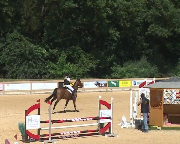 Reitturnier Tiefenhof/Opf. 2024