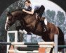 stallion Wisconsin (Dutch Warmblood, 1980, from Nimmerdor)