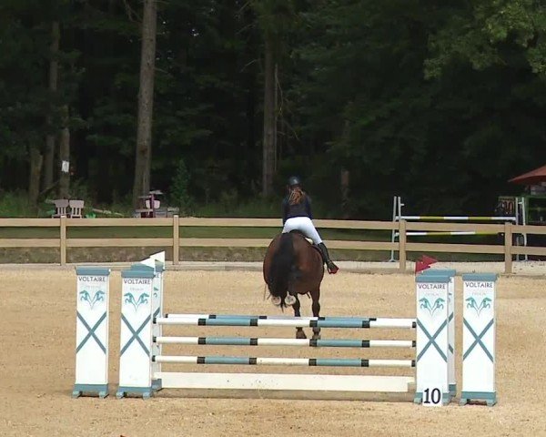 Reitturnier Tiefenhof/Opf. 2024