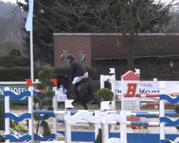 Lenklarer Reitertage auf der Reitsportanlage Gripshöver 2013