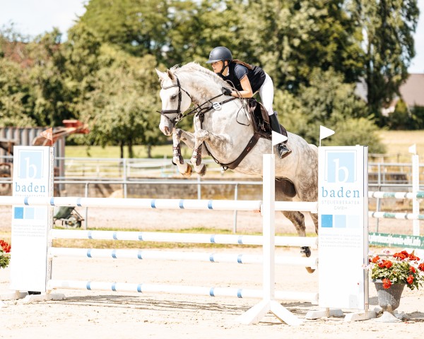 Springpferd Cassidy B 3 (Deutsches Sportpferd, 2017, von Corrinaro)