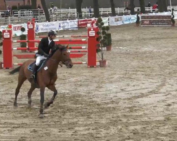 Lenklarer Reitertage auf der Reitsportanlage Gripshöver 2013