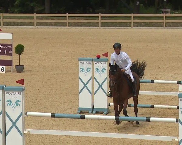 Reitturnier Tiefenhof/Opf. 2024