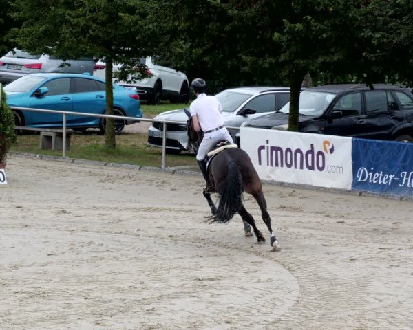 Reitturnier Groß-Zimmern 2024