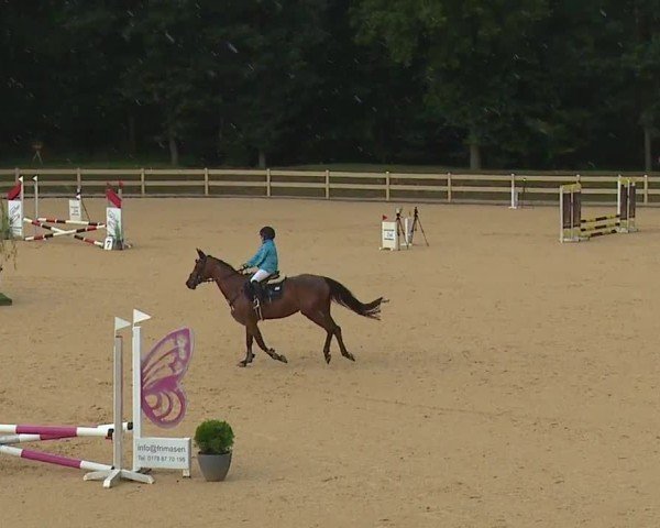Reitturnier Tiefenhof/Opf. 2024