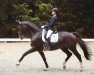 dressage horse Rio Bonito 2 (Hanoverian, 2002, from Rotspon)