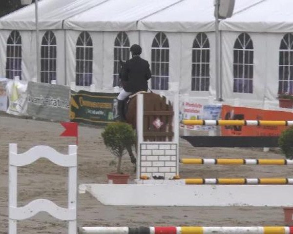 Lenklarer Reitertage auf der Reitsportanlage Gripshöver 2013