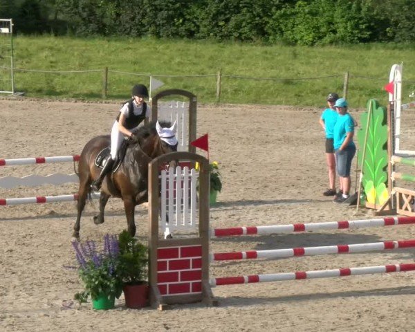 Reitturnier Gossau 2024