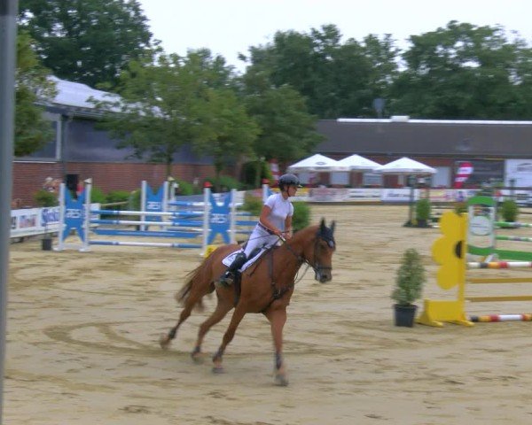 Reitturnier Stadtlohn 2024