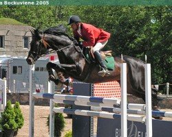 Deckhengst Ornamentas (Russisch Trakehner, 1985, von Choll 59 ( Holl ))