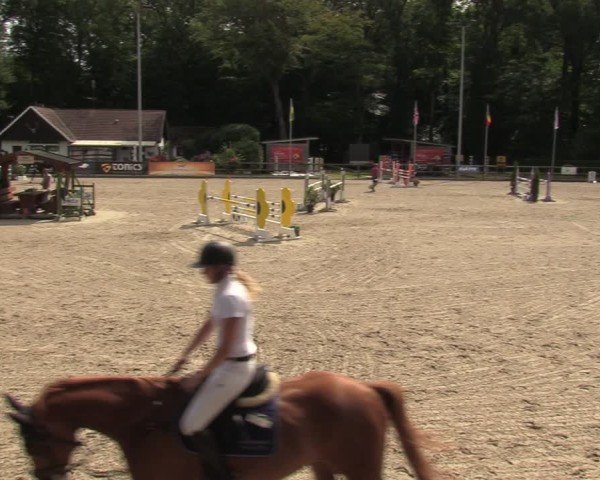 Reitturnier Klein Roscharden 2024