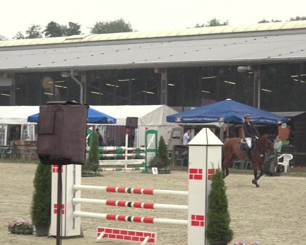 Reitturnier Nettetal-Lobberich 2024