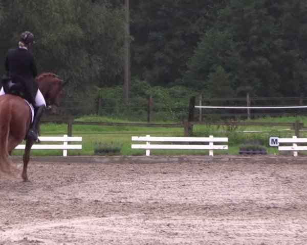 Reitturnier Nettetal-Lobberich 2024