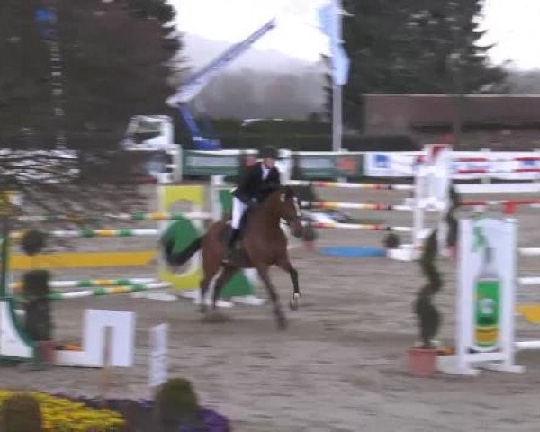 Lenklarer Reitertage auf der Reitsportanlage Gripshöver 2013