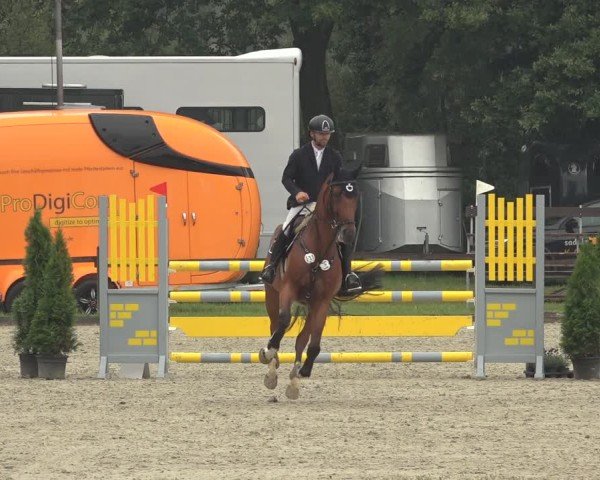 Reitturnier Nettetal-Lobberich 2024