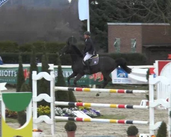 Lenklarer Reitertage auf der Reitsportanlage Gripshöver 2013