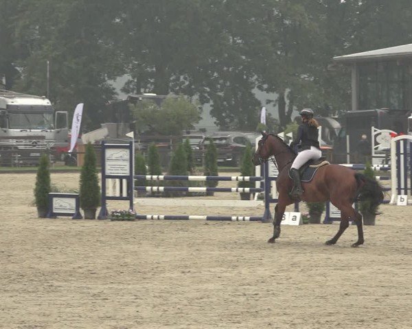 Reitturnier Nettetal-Lobberich 2024