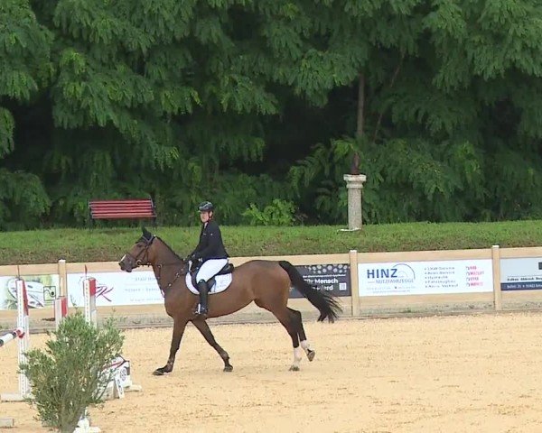 Reitturnier Tiefenhof/Opf. 2024