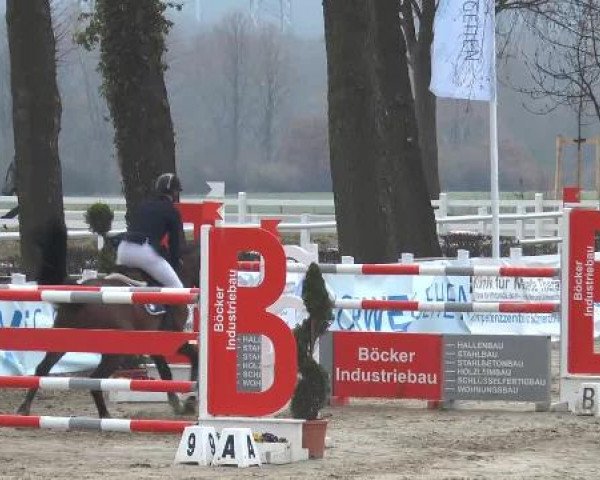 Lenklarer Reitertage auf der Reitsportanlage Gripshöver 2013