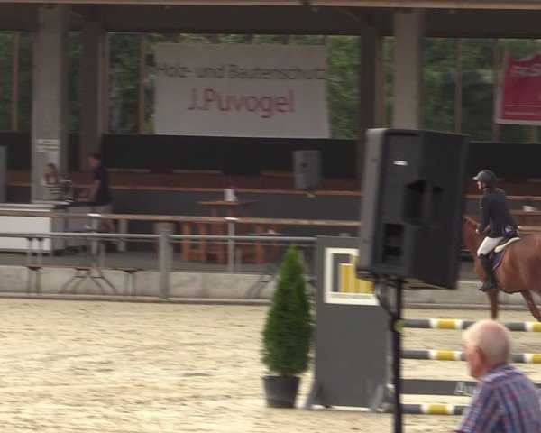 Reitturnier Ennigerloh-Neubeckum 2024