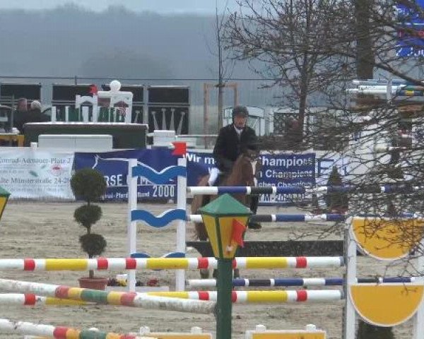 Lenklarer Reitertage auf der Reitsportanlage Gripshöver 2013