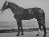 stallion Lados (Mecklenburg, 1977, from Lapis 3329)