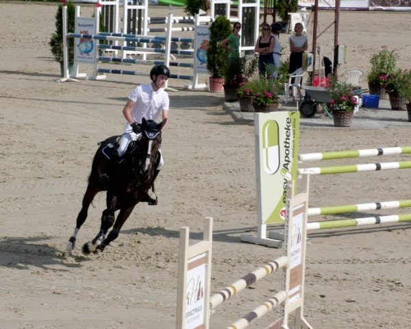 Reitturnier Groß-Zimmern 2024