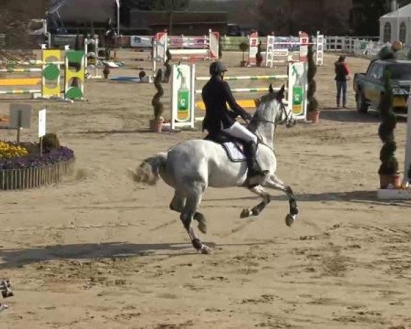 Lenklarer Reitertage auf der Reitsportanlage Gripshöver 2013